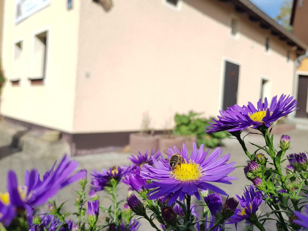 Ferienhaus Balkenkunst Radebeul Buitenkant foto
